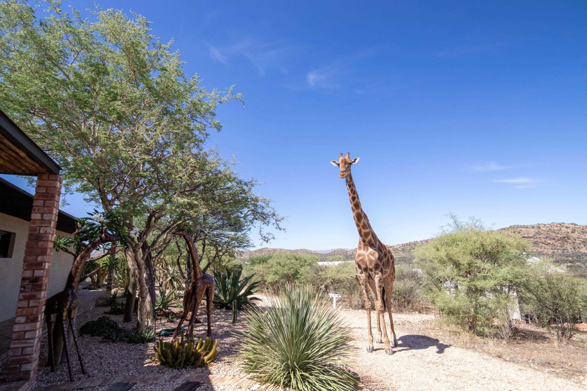 Windhoek Game Camp Lafrenz Township Exterior photo