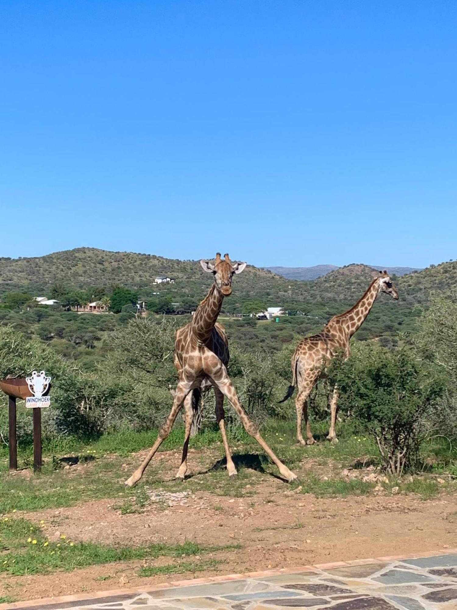 Windhoek Game Camp Villa Lafrenz Township Exterior photo