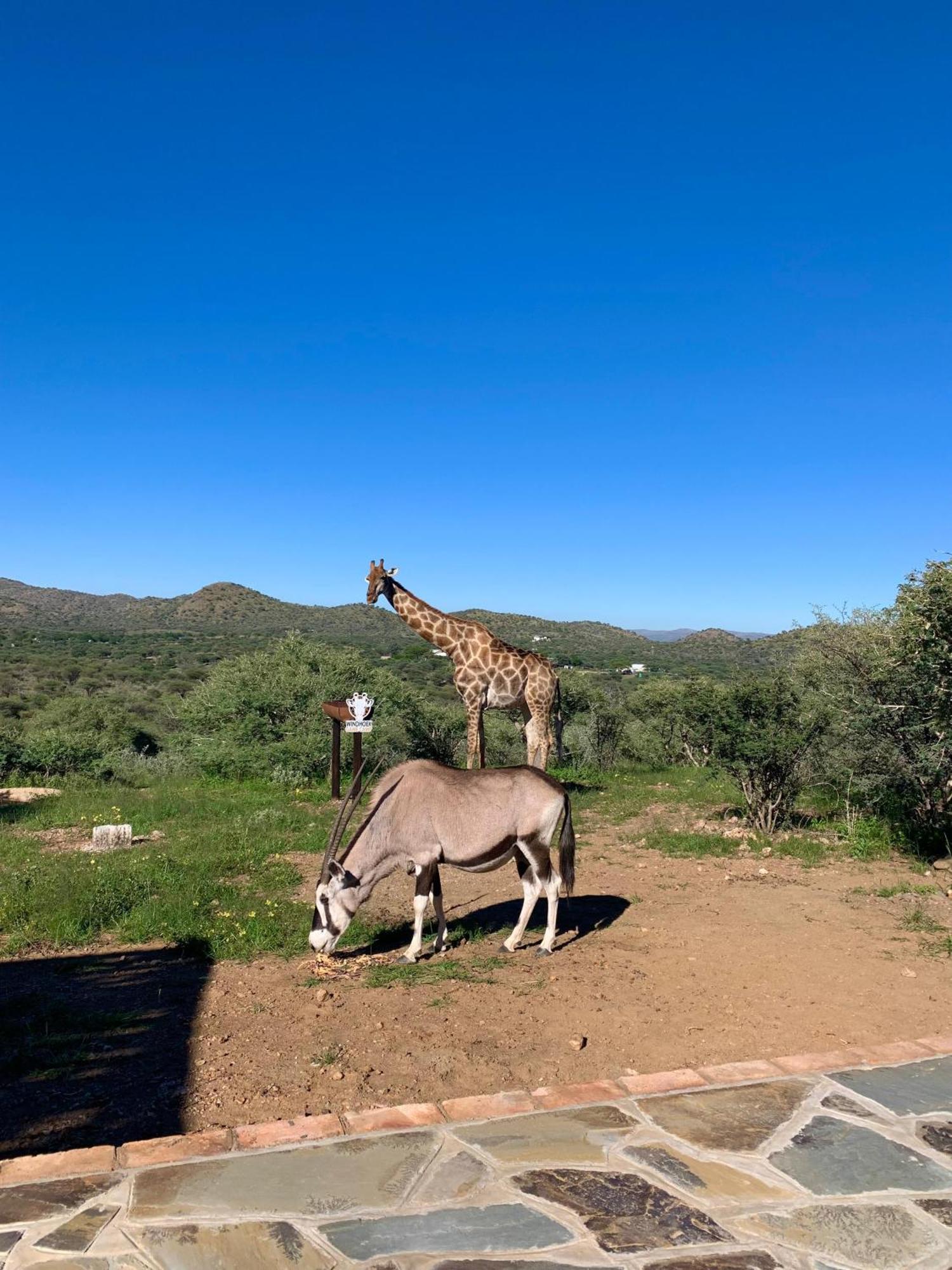 Windhoek Game Camp Villa Lafrenz Township Exterior photo